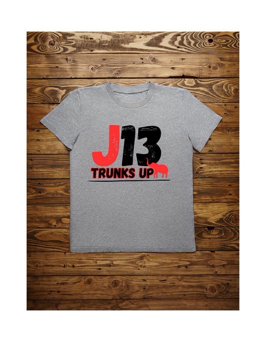 J13 - Trunks Up - Grey
